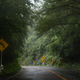 Image for article titled How To Find One Of Japan's Best Driving Roads Just Two Hours Outside Tokyo
